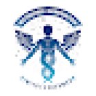 Dimitri Eckermann - Heilpraktiker / Chiropraktiker