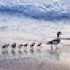 VAMED Rehazentrum Karlsruhe GmbH