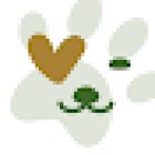 Pfotengerecht für tierische Glücksmomente