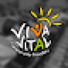 VIVA VITAL