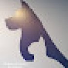 Clinique Vétérinaire des Guérets