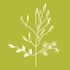 Laurence Guillon - Naturopathe Lille