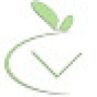 Caruso Virginie Micro-Nutritionniste