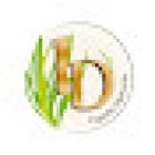 Aloe Vera Pyrénées orientales