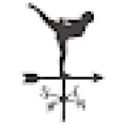 Chiropractic Balance