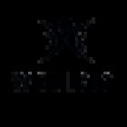 The WellFit Programme