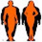 The Body Transformation Studio