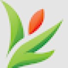 Merridy Casson, Adelaide Naturopath & Nutritionist