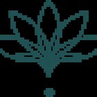 Avoca Naturopath & Nutritionist - Diana Arundell (Avoca Beach Central Coast)