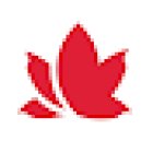 Lifemark Physiotherapy Capital Sport (formerly Pro Physio Capital Sport @ 267 O'Connor St)