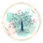 Holistic Physiotherapy & Wellness