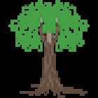 What's Good - Wellness by Design