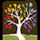 Wellness Path Clinic & Spa