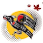 Warrior Code Training