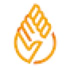 Genuine Fitness - Personal Training. Active Physiotherapy & Nutrition Coaching