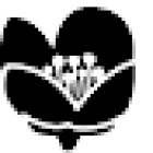 Jasmine's Healing Space