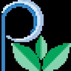 Pure Wellness Chiropractic