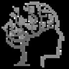 Comprehensive Behavioral Health