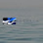 Pacific Total Body Wellness