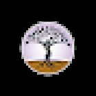 St. Paul Chiropractic & Natural Medicine Center