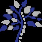 Live Your Life Integrated Health and Chiropractic - Erie