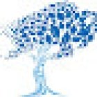 UBMD Orthopaedics & Sports Medicine