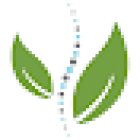 Precision Chiropractic & Nutrition Center Disc Centers of America Wallingford