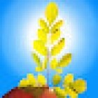 The Moringa Tree Organic Kitchen & Wellness Studio