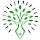 The Whole List Doc | Functional Medicine | IV Therapy | Columbus OH