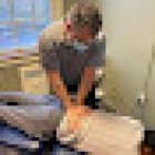 Brighton Spine and Wellness PC