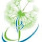 Solutions Chiropractic Plus