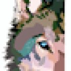 The Holistic Pet Nutrition Center - Missoula