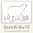 Spirit of the Bear LLC