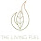 The Living Fuel - Wellness Coaching Business