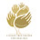 Living Tree Center for Healing