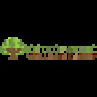 Osteopathic Wellness Center: David Johnston, D.O.