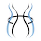 The Bariatric Experts: Dr. Scott Stowers