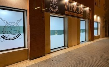 VINCIS