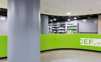 CEF Center for Financial Studies