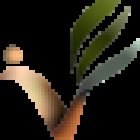 Academia Corpe | Naturaleza Militar Cáceres