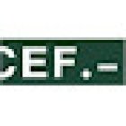 CEF Center for Financial Studies