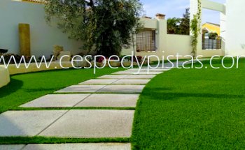 Césped y Pistas