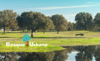 Bosque Urbano, Jardinería y Sport en Extremadura
