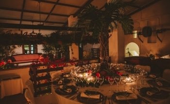 Vinca Jardineria y Viveros