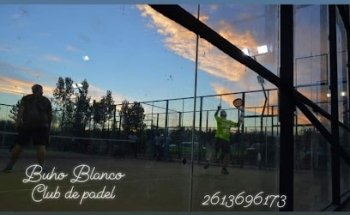 BUHO BLANCO- CLUB DE PADEL