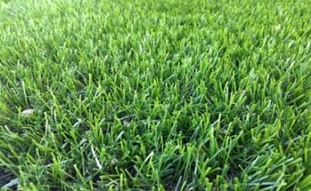 Complejo Deportivo Corralon