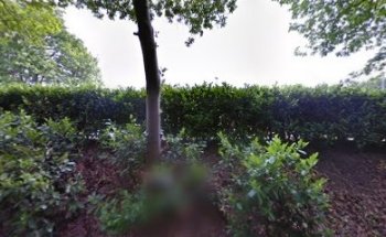 T.C. Wuustwezel Molenheide