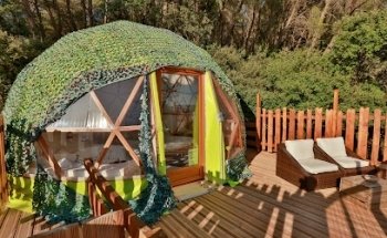 Domaine de la Tuilière | Chambre d'hôtes, hébergement insolite | Carnoules