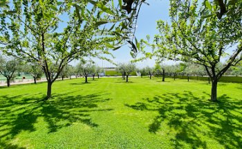 Centro Sportivo “DOC”