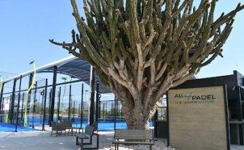 All4Padel Club Mazatlán